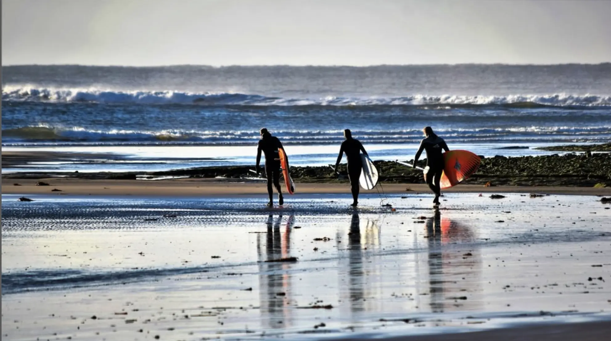 Beachcombing Australia