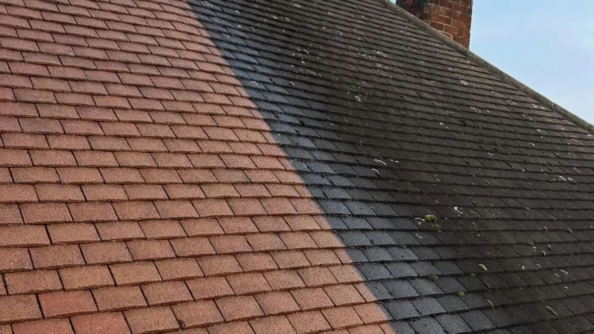 Roof Cleaning