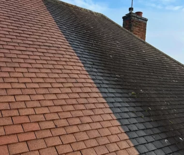 Roof Cleaning