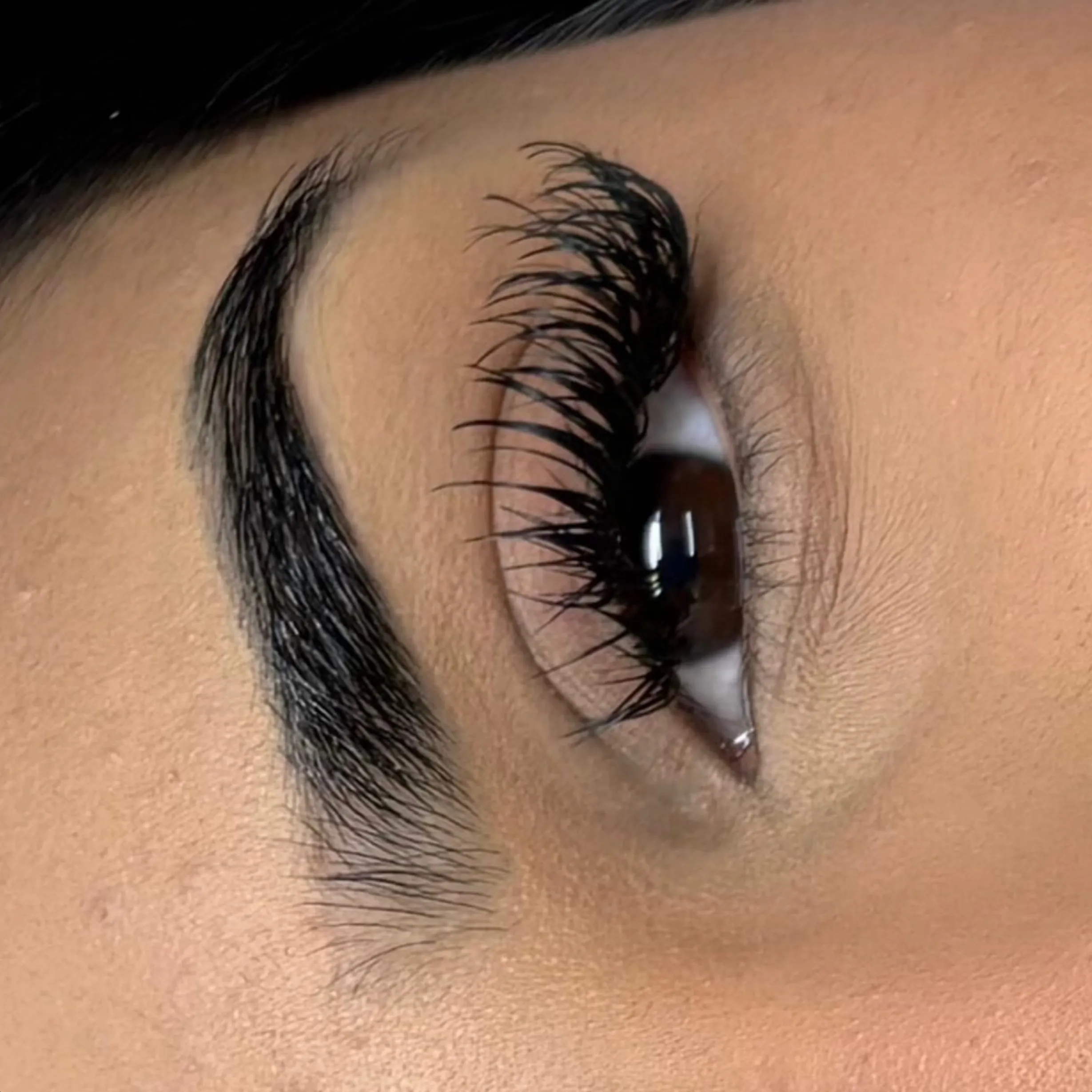 angel lash technique
