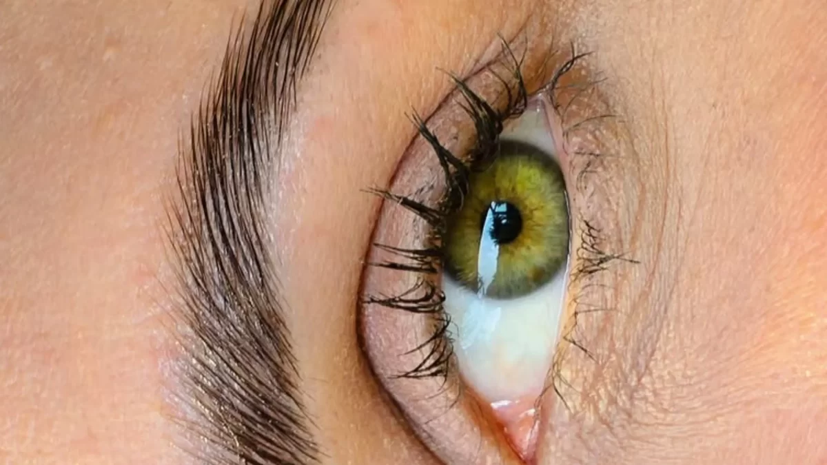 Natural Looking Eyebrow Tattoo